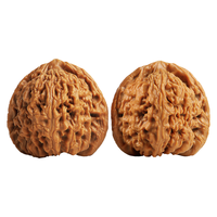 月印百川 核桃文玩南疆石古玩麻核桃手把件约38-39mm+盘玩礼包