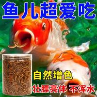 锦鲤鱼食面包虫干鱼饲料龙鱼观赏鱼通用型营养高蛋白饲料上浮颗粒