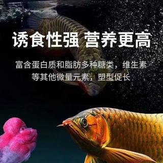 锦鲤鱼食面包虫干鱼饲料龙鱼观赏鱼通用型营养高蛋白饲料上浮颗粒