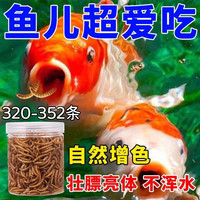 锦鲤鱼食面包虫干鱼饲料龙鱼观赏鱼通用型营养高蛋白饲料上浮颗粒