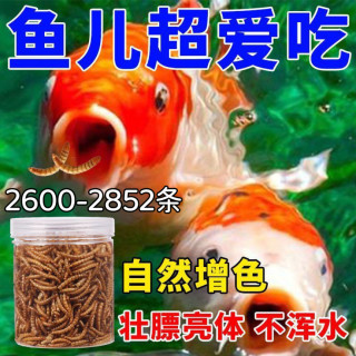 锦鲤鱼食面包虫干鱼饲料龙鱼观赏鱼通用型营养高蛋白饲料上浮颗粒