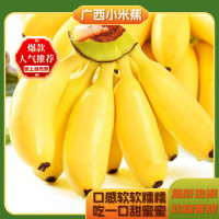 京喜加 广西新鲜孕妇水果小米蕉酸甜芭蕉 小米蕉2斤