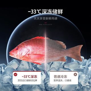 格力 晶弘十字对开门冰箱 底部散热恒温母婴保鲜