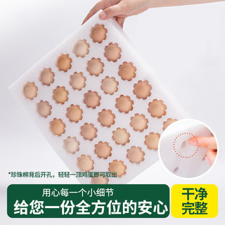  巧食皇 农家散养 鸡蛋  土鸡蛋【40g±5g】 箱装 900g