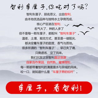 好媛好宇智利车厘子【JD多地次日达】大樱桃水果礼盒 5斤(净重) 奢享礼盒【蕞划算】 【80%首选】3JJJ级巨无霸30-32mm