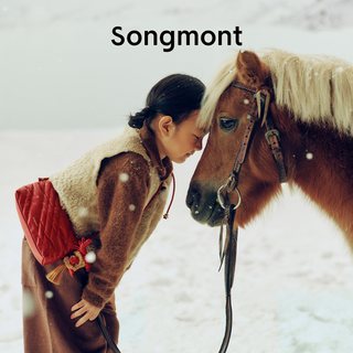 Songmont/崧 山下有松纵马逐乐女士单肩包 小