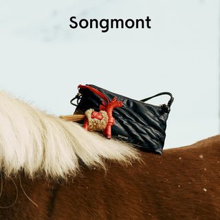 Songmont/崧 山下有松纵马逐乐女士单肩包 小