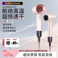 拉美拉 落日玫瑰高速吹风机负离子吹风机家用电吹风护发