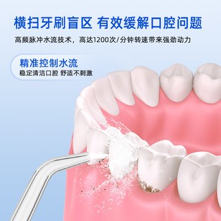 h2ofloss/惠齿 hf-6P 便携式 冲牙器