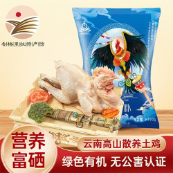森吉尼达 香格里拉尼西鸡珍品藏鸡富硒鸡高原散养农家土鸡新鲜鸡肉走地鸡
