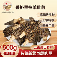 森吉尼达香格里拉云南羊肚菌干货礼盒山珍菌菇松茸伴侣 南北干货煲汤食材 精选珍品 云南羊肚菌500g