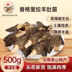 森吉尼达 香格里拉云南羊肚菌干货礼盒山珍菌菇松茸伴侣 南北干货煲汤食材 精选珍品 云南羊肚菌500g