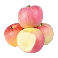 陕西红富士苹果4.5斤【特大果】