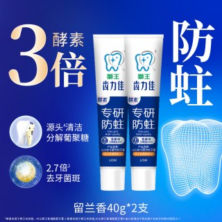 狮王 牙膏清新口气口腔护理家庭套装 留兰香40g*2
