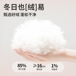 丽婴房（Les enphants）婴儿羽绒服哈衣厚款外出连体衣宝宝保暖羽绒服连身衣 喜气枣红 73cm 9个月