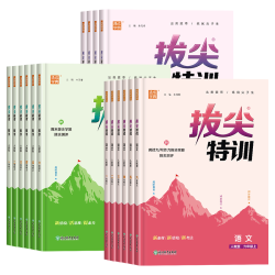 延边大学出版社 2023小学拔尖特训同步练习册