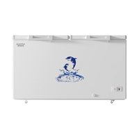 澳柯玛（AUCMA）500升单温冷柜家用商用卧式大冰柜雪糕柜冷藏柜冷冻柜顶开门冰箱一级能效 BC/BD-500HNE  500L 【减霜节能】-40℃深冷