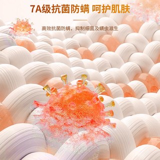 真维斯双面加绒打底衫女2026秋冬立领加厚保暖衣内搭长袖上衣 【薄绒木耳边款】深咖-纯色 L