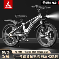 PHOENIX 镁合金儿童自行车男女孩中大童5-12岁小学生18-22寸脚踏单车