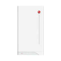 瑞美（Rheem） 燃气壁挂炉26KW采暖炉家用  天然气锅炉暖气片地暖热水两用  L1PB26-CBW