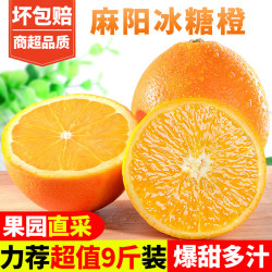 甜果源 湖南麻阳冰糖橙 净重9斤 单果60mm以下