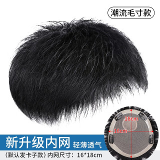  ZURCCA 真人发丝 男士假发