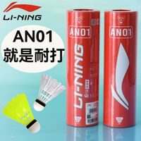 李宁 LI-NING尼龙球AN01塑料羽毛球耐打室内防风专业室外儿童羽毛球