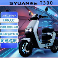 深远 S&Y SHENYUATECHNOLOGY新品深远T300运动版1.0电动车外卖神车九洲电机高标控高性价比 T300运动版