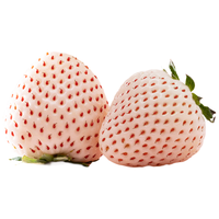 今日必买：京鲜生 大号红颜草莓 净重2.8斤装（单果25-30g）
