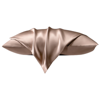 水星家纺 真丝枕套 桑蚕丝单枕套贡缎织造轻柔易洗高级护肤透气枕套 真丝枕套【桑蚕丝/玉粉色】