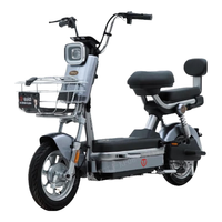 台铃猎豹上班通勤灵活小巧轻便电动车2025猎豹电动自行车轻便台铃 暗夜灰 48V22AH原厂电池超长续航