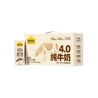 88VIP：认养一头牛 4.0g乳蛋白高钙纯牛奶125ml*12盒儿童牛奶整箱学生早餐
