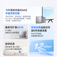 飞牛 nas智能存储EVO 2双盘位硬盘 银灰色 16G 128G系统盘