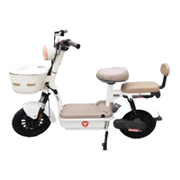 雅迪C09-G新新国标电动自行车电瓶车可放儿童坐椅时尚电池电动车智能电动车  灰色C09智能北斗定位/防火合金 48V12A 白色 48V20AH