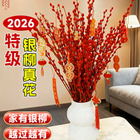 爱你一万年银柳真花鲜枝客厅摆件年宵花红色干花枝条室内真花福桶秋冬新年花 银柳【85cm左右50支】+5灯笼