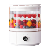 DAEWOO 大宇 水果清洗机动态旋转全自动杀菌去除农残果蔬菜净化 奶糖白