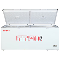 星星 BD/BC-519E 大容积 商用单温冰柜