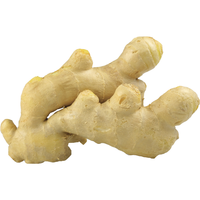 家美舒达 生姜 500g