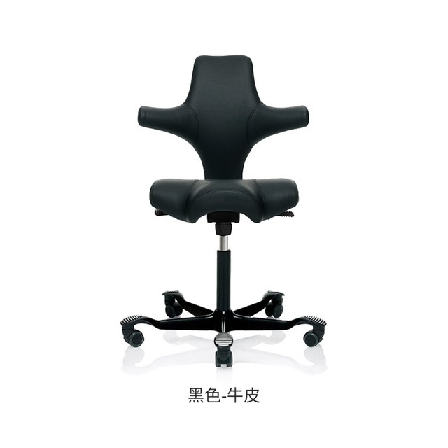 Flokk HAG Capisco 牛皮人体工学电脑椅 黑色 铝合金脚 固定扶手