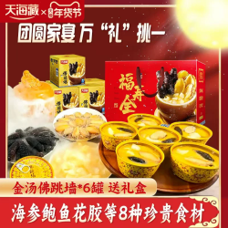 天海藏 佛跳墙年货礼盒240g*6罐