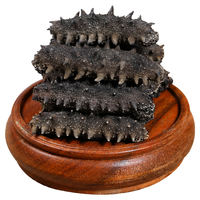 皇纯 御品 淡干海参 5-8只 50g