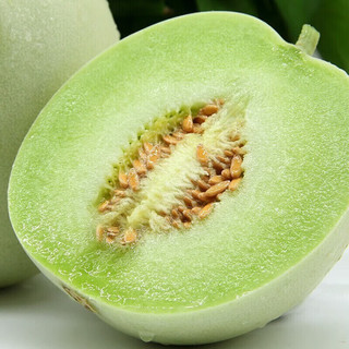 初石 冰淇淋口感 玉菇甜瓜  玉菇甜瓜7