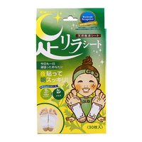 树之惠 艾草天然树液足贴 30片