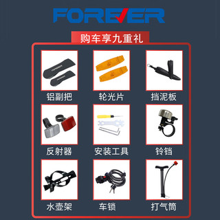 永久（FOREVER）青少年山地自行车变速双碟刹减震单车 坦克24英寸24速太空灰 【蓝图变速】太空灰24英寸24速