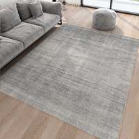 嘉瑞宝 轻奢地毯 80*120cm 素灰