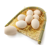  Xiong mao niao/熊猫鸟 新鲜 草鸡蛋  盒装 20枚