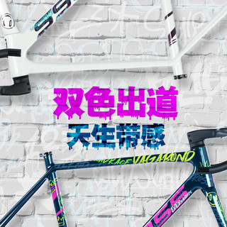  BROSS 长途耐力 自行车 碳架 碳轮 105 R7120 车架组