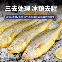 三都港 宁德三去黄花鱼  4条 900g
