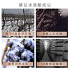 慕拉 雷司令冰白葡萄酒 双支礼盒装