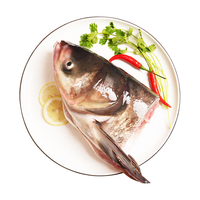 鱻谣新鲜鲢鱼头3.6斤/共3头 大号鲢鱼头 生鲜鱼类 海鲜水产